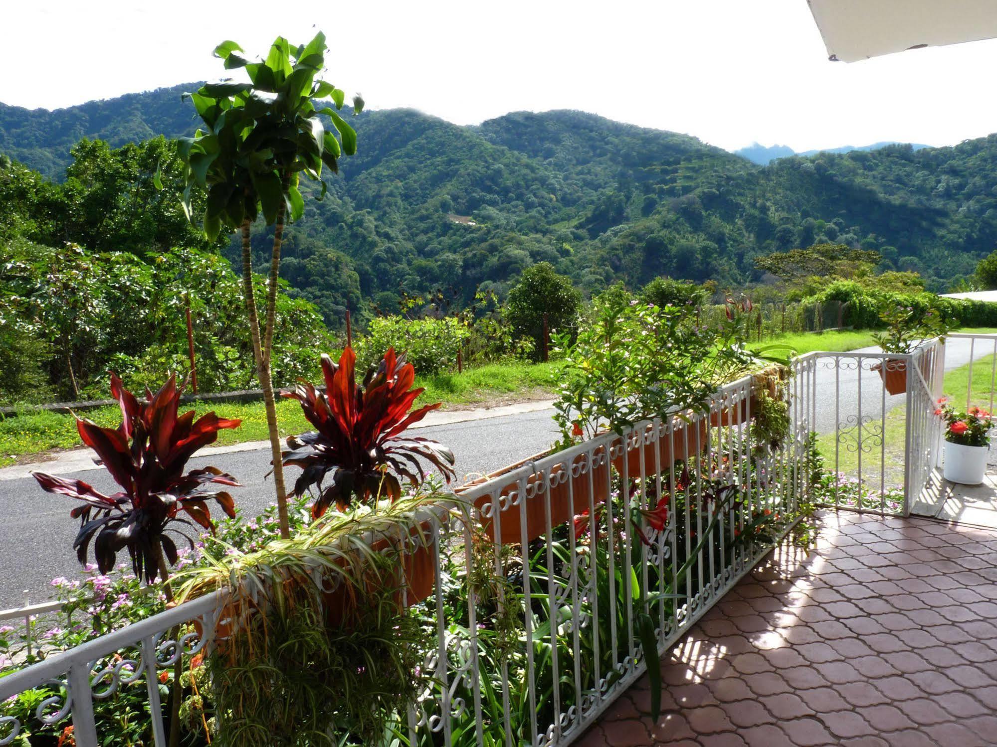 Autana Bed & Breakfast 보케테 외부 사진